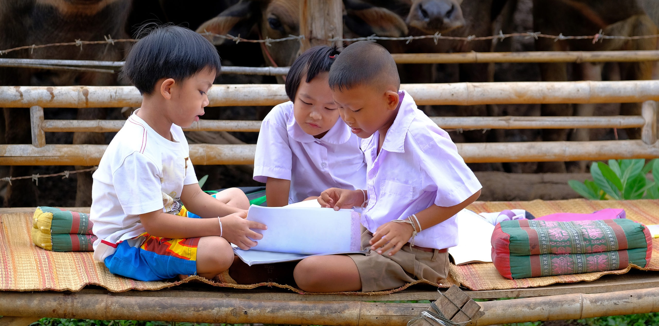 About Us Childhood Education International