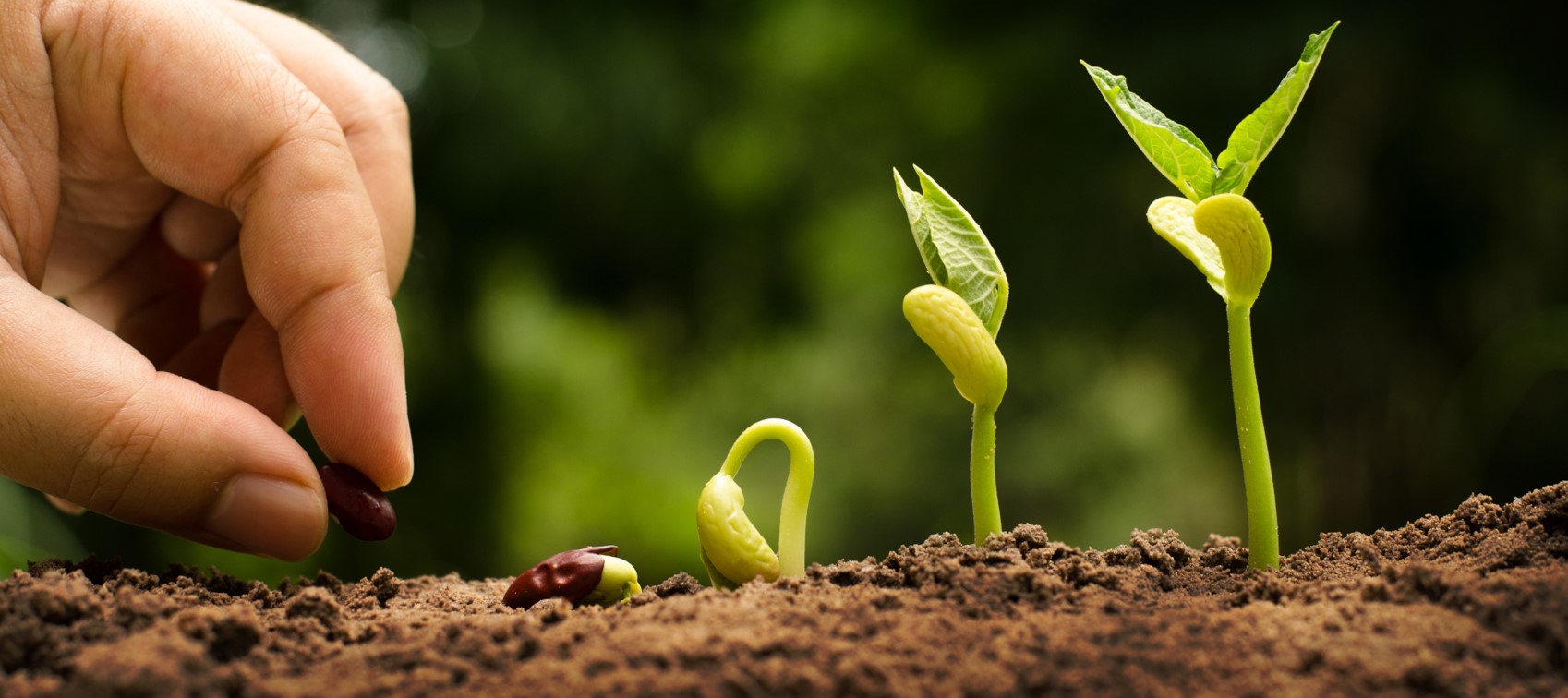 Dynamic Growing Out Grey Hair Abstract for Desktop Dynamic Growing Out Grey Hair Abstract for Desktop