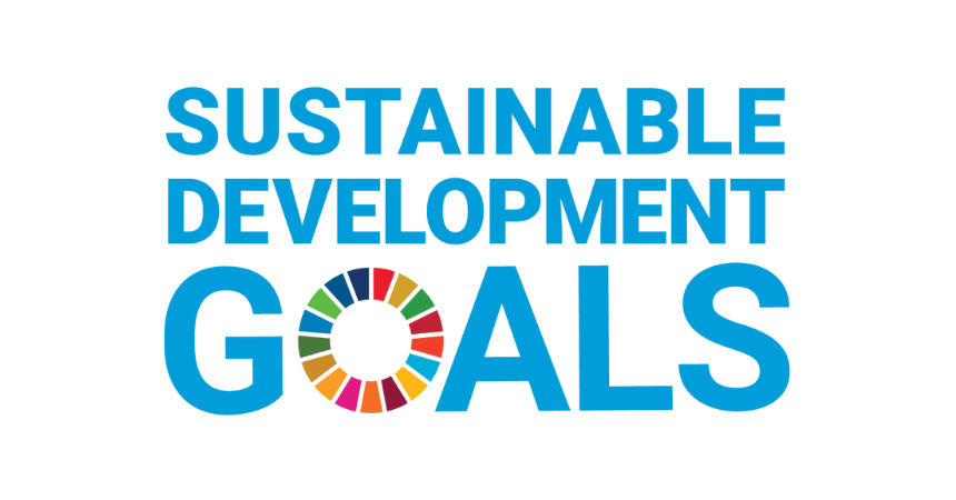 Graphic that says "Sustainable Development Goals" in blue. The "o" in the word "goals" is multicolored to look like the SDG wheel graphic that showcases all 17 goals