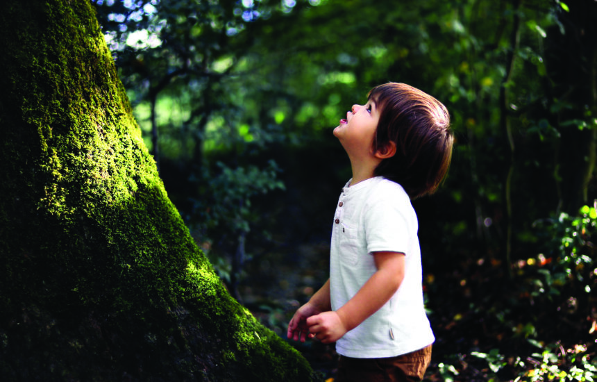 A child looks up at a tree